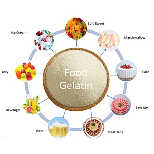 Food Additives CAS 9000-70-8 Bovine Skin Gelatin Bovine Beef Bone Gelatin 150 Bloom
